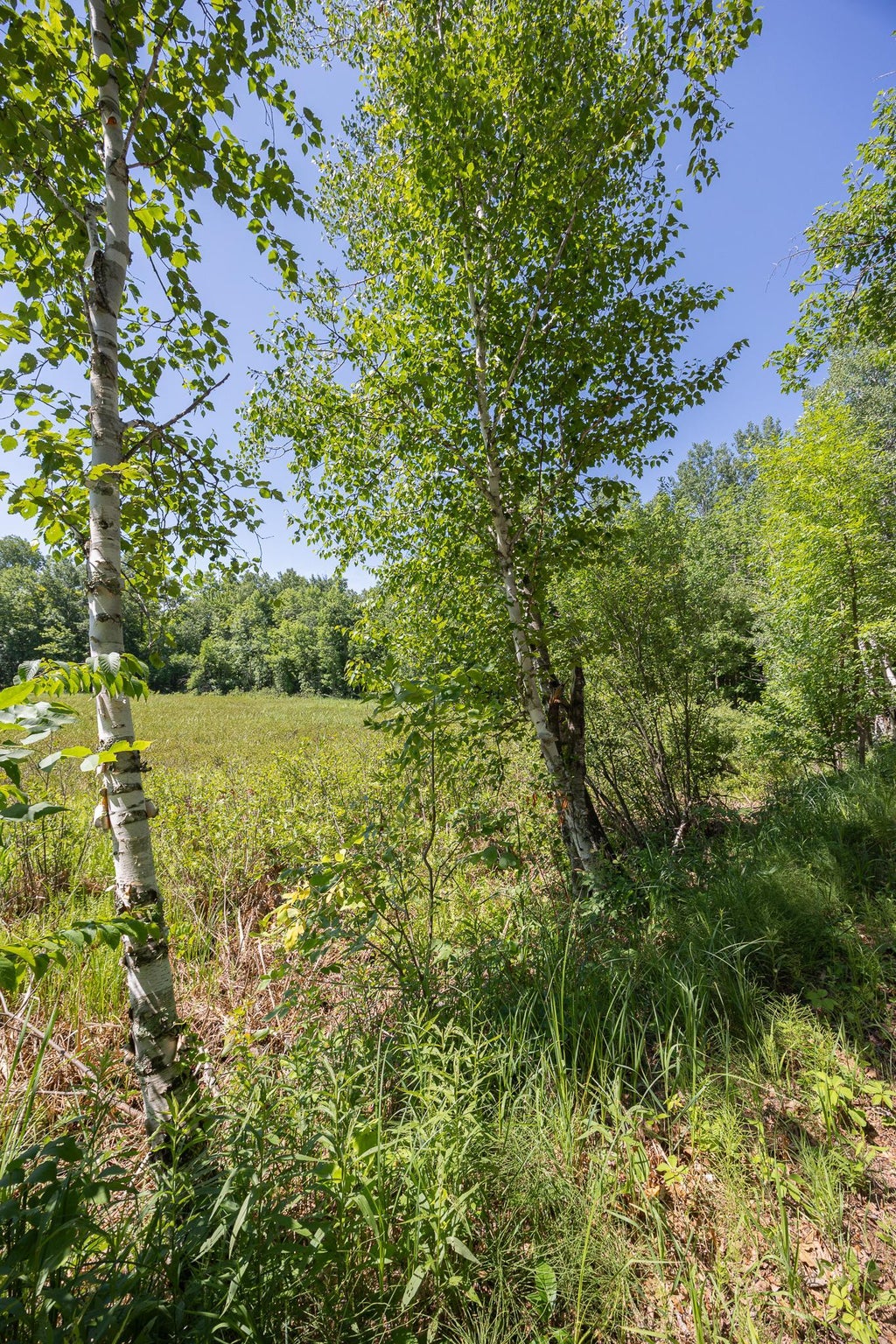 Photo of TBD County 5, Hackensack, MN 56452 (MLS # 7106660)
