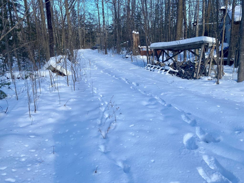 Photo of 6119 County Rd 4 NE, Remer, MN 56672 (MLS # 6825166)