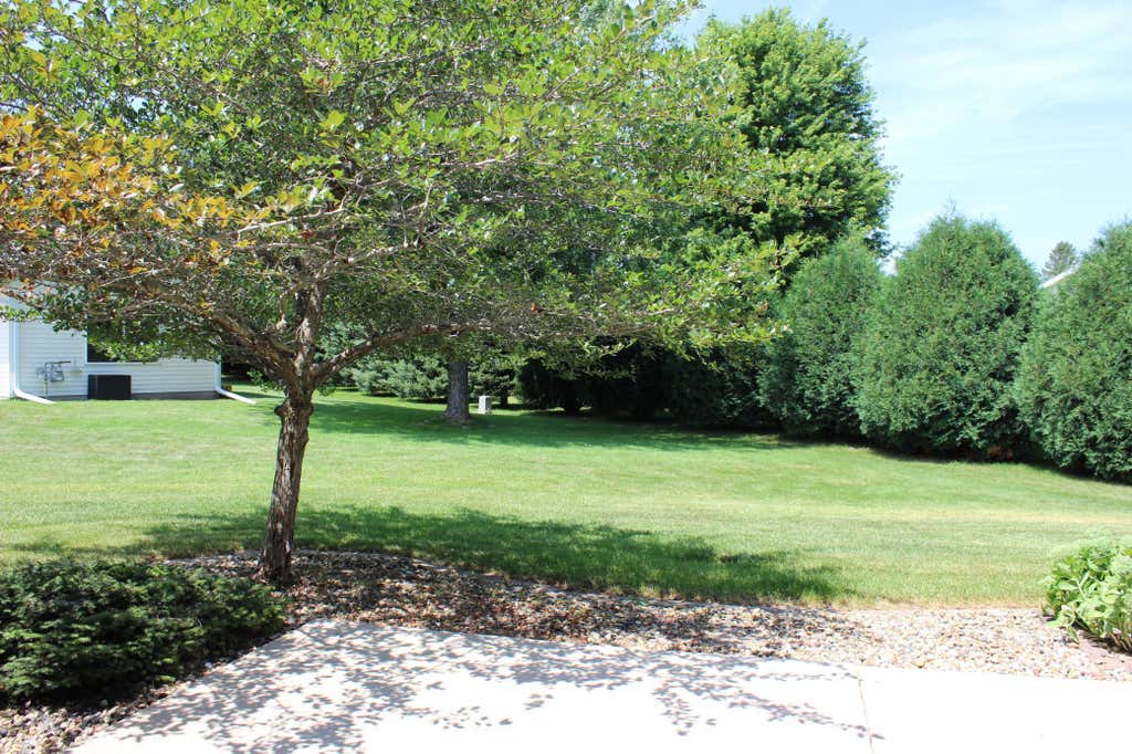 Photo of 314 5th Circle SW, Blooming Prairie, MN 55917 (MLS # 7111625)