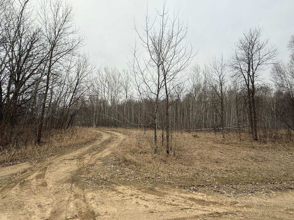 Photo of TBD Spring Lake Road, Detroit Lakes, MN 56501 (MLS # 7057738)