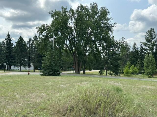 Photo of 311 Eastern Avenue S, Park Rapids, MN 56470 (MLS # 7113195)