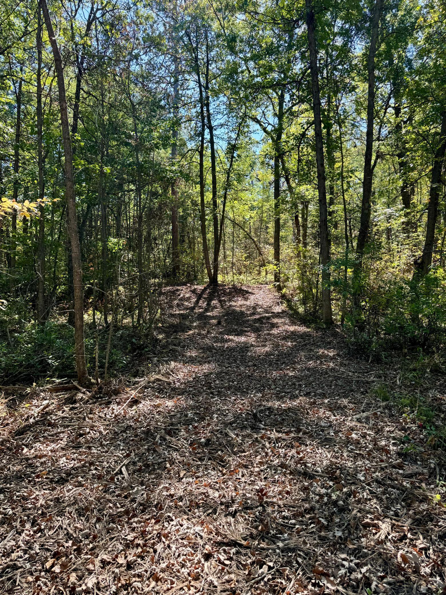 TBD5 Winter Creek Court