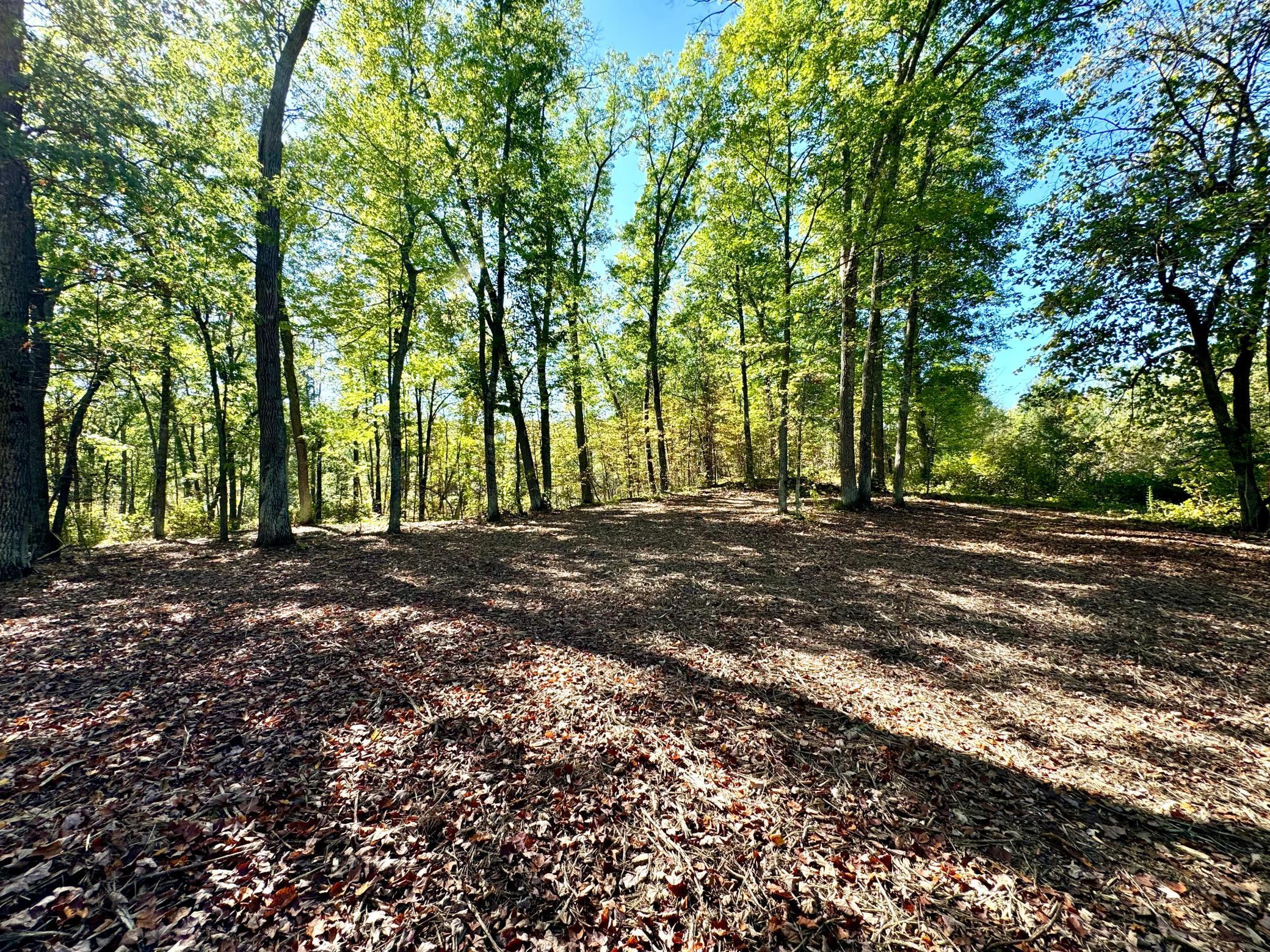 TBD5 Winter Creek Court