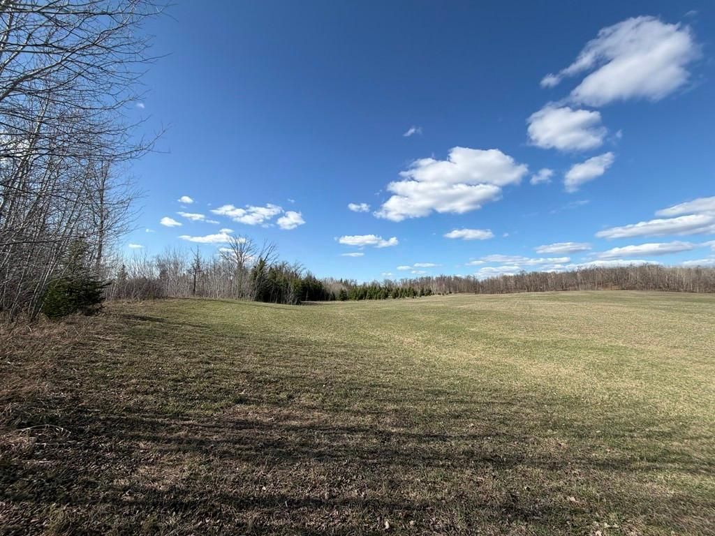 Photo of 55000 Kueber Road, Park Rapids, MN 56470 (MLS # 7067541)