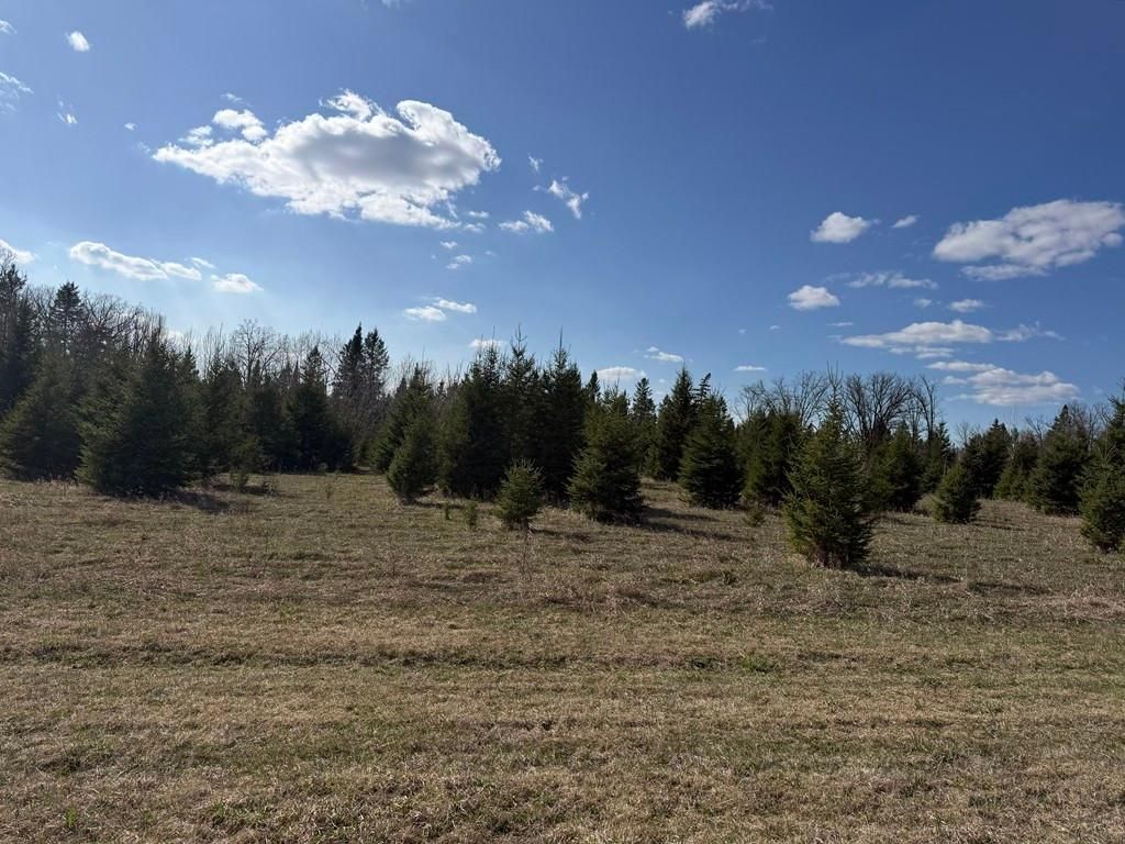 Photo of 55000 Kueber Road, Park Rapids, MN 56470 (MLS # 7067541)