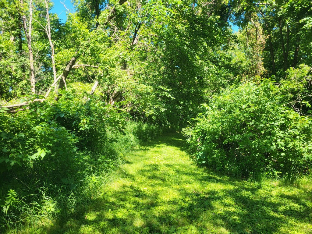 Photo of Lot 5 Big Chip Trail NW, Garfield, MN 56332 (MLS # 7102606)