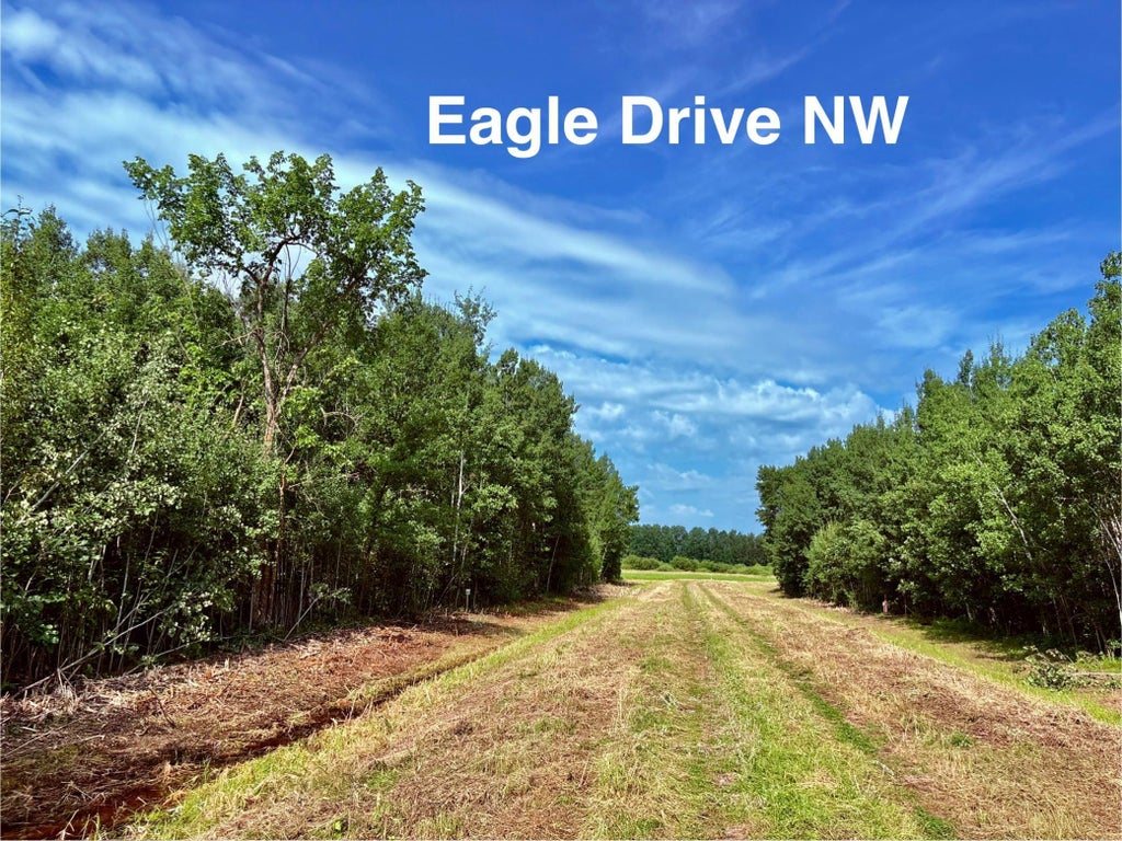 Photo of TBD Eagle Dr NW, Baudette, MN 56623 (MLS # 7160662)