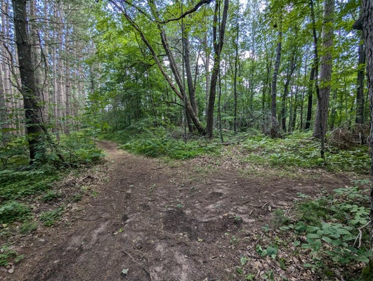 LOT 2 FOSMO, WEBSTER, WI 54893 - Image 722ae8f6a7ddab5b31e2d8aa09d0dff3/2763117599