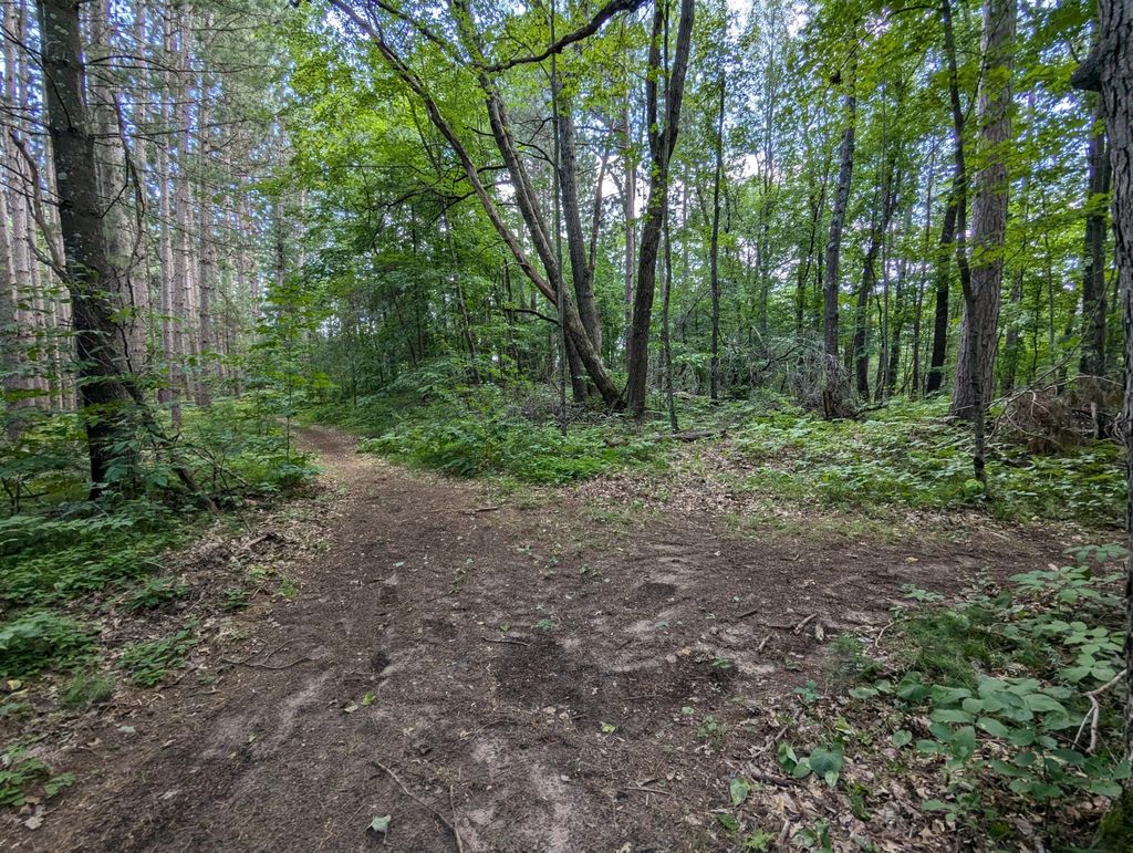 Photo of Lot 2 Fosmo, Webster, WI 54893 (MLS # 7041569)
