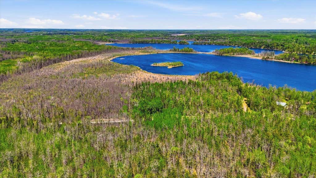 Photo of xxx Cedar Point Road, Marcell, MN 56657 (MLS # 7098891)