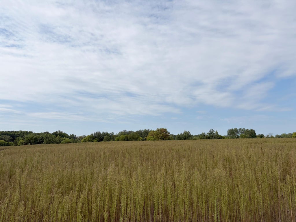Photo of TBD (L4-SM East) Yellowpine Court NW, Isanti, MN 55040 (MLS # 7150368)
