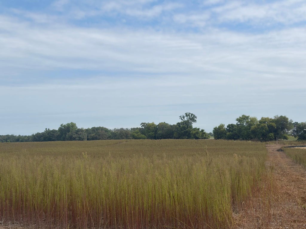 Photo of TBD (L13-SM East) Yellowpine Court NW, Isanti, MN 55040 (MLS # 7150406)