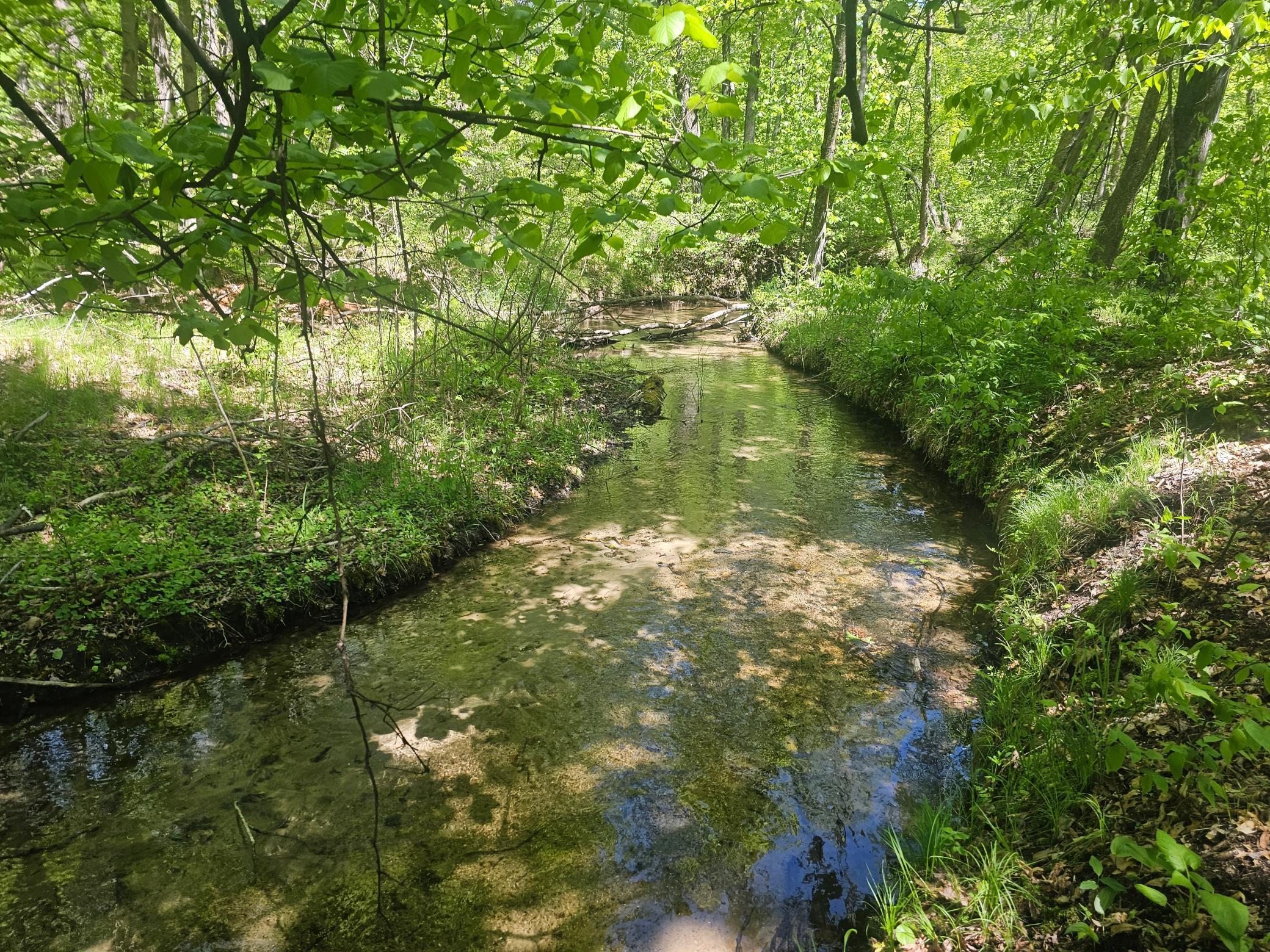 8366 Hidden Creek Court