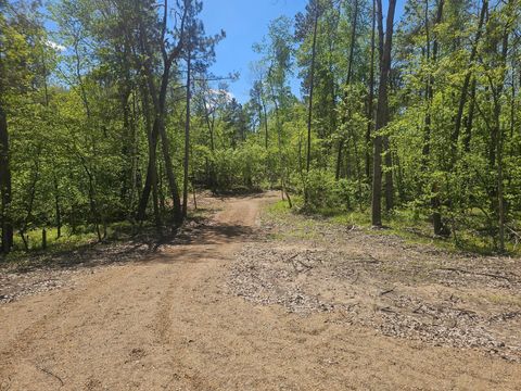 8366 Hidden Creek Court Pequot Lakes MN 56472