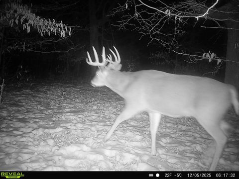 TBD 294th Street Red Eye Twp MN 56477