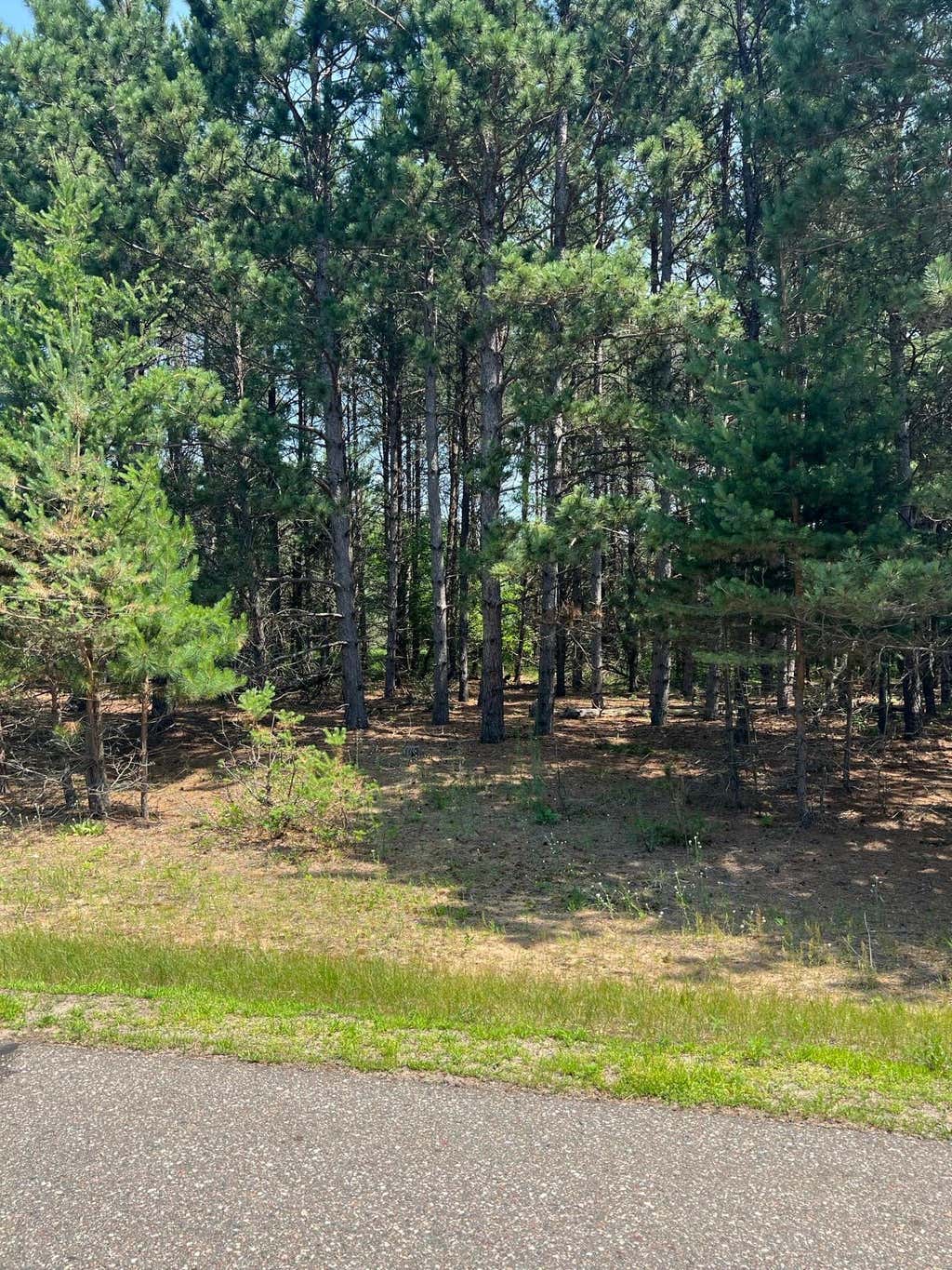 Photo of TBD Thomas Drive, Little Falls, MN 56345 (MLS # 7103904)