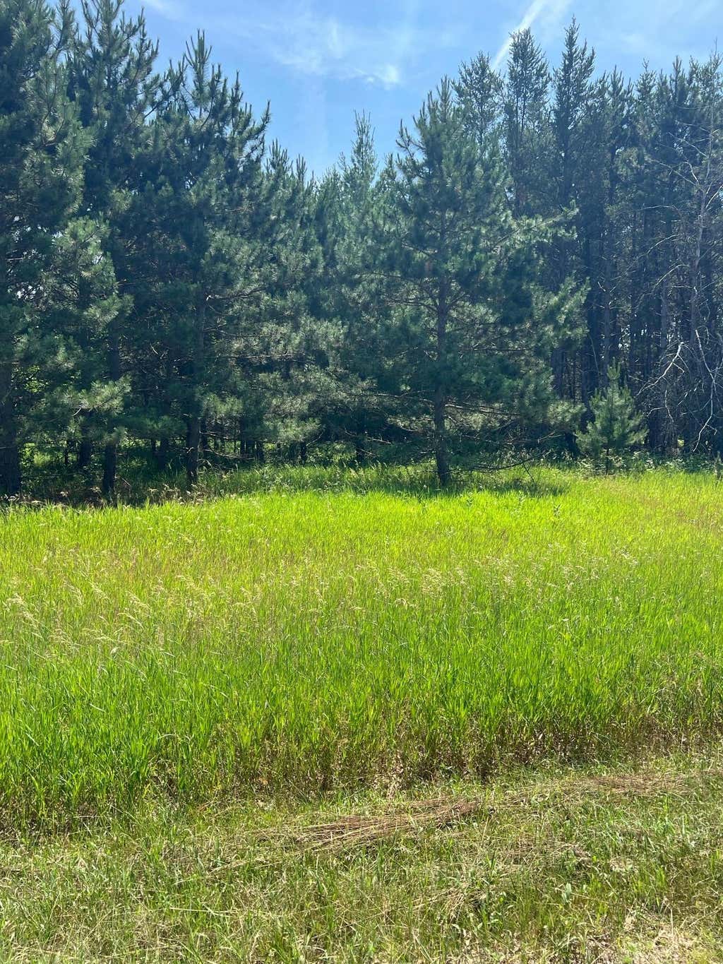 Photo of TBD Thomas Drive, Little Falls, MN 56345 (MLS # 7103904)