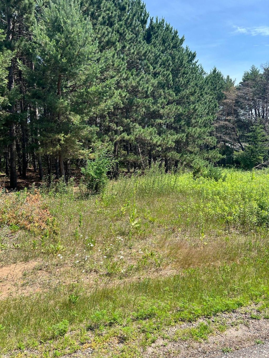 Photo of TBD Thomas Drive, Little Falls, MN 56345 (MLS # 7103904)