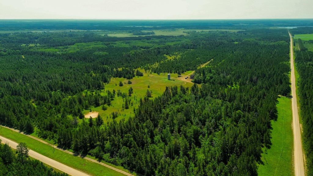 Photo of 39794 259th Avenue, Menahga, MN 56464 (MLS # 7116323)