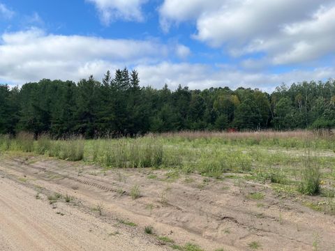 1707 Hassman Hill Tract B Road SW Pine River MN 56474