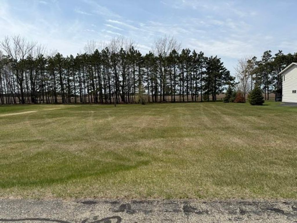 Photo of TBD 439th Avenue, Perham, MN 56573 (MLS # 7072027)