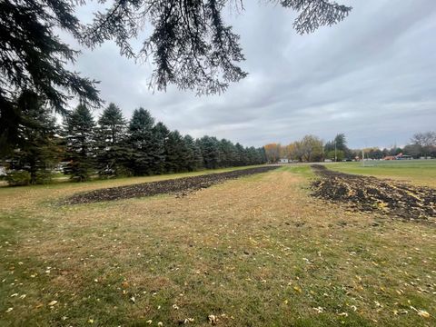 Photo of 320 Elm Street, Tracy, MN 56175 (MLS # 6811879)