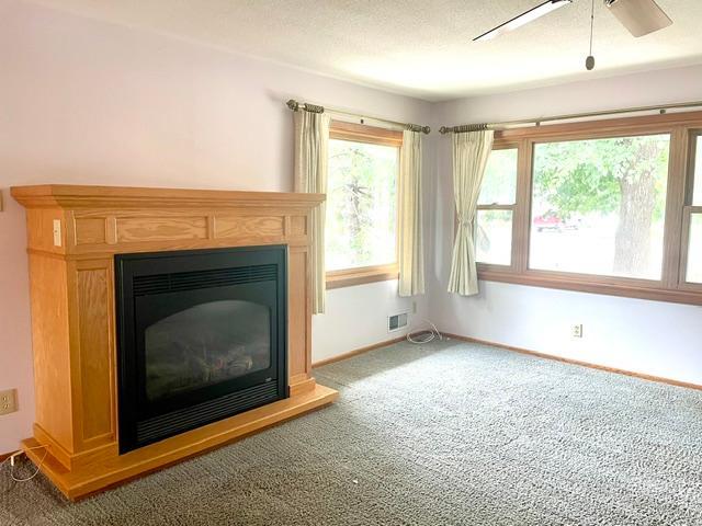 Photo of 1228 Lincoln Avenue, Saint Paul Park, MN 55071 (MLS # 7134201)