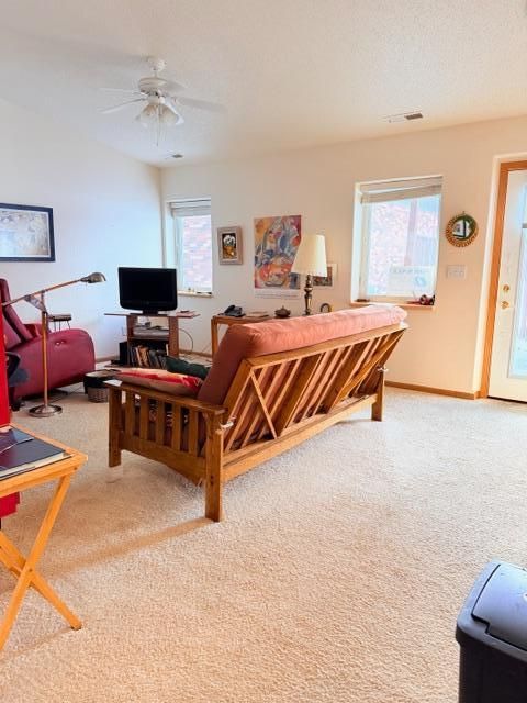 209 Tousley Avenue S New York Mills MN 56567