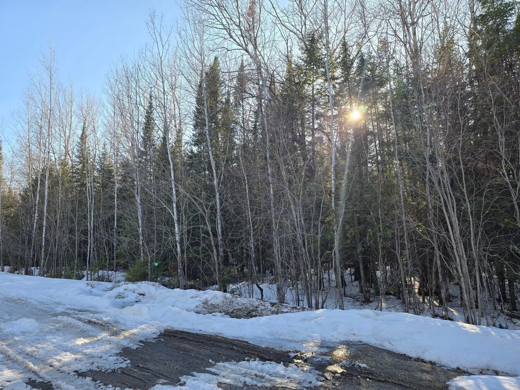 Photo of TBD 4th Avenue 22nd Street W, International Falls, MN 56649 (MLS # 7044777)