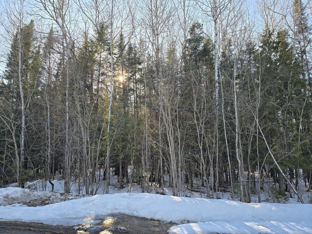 Photo of TBD 4th Avenue 22nd Street W, International Falls, MN 56649 (MLS # 7044777)