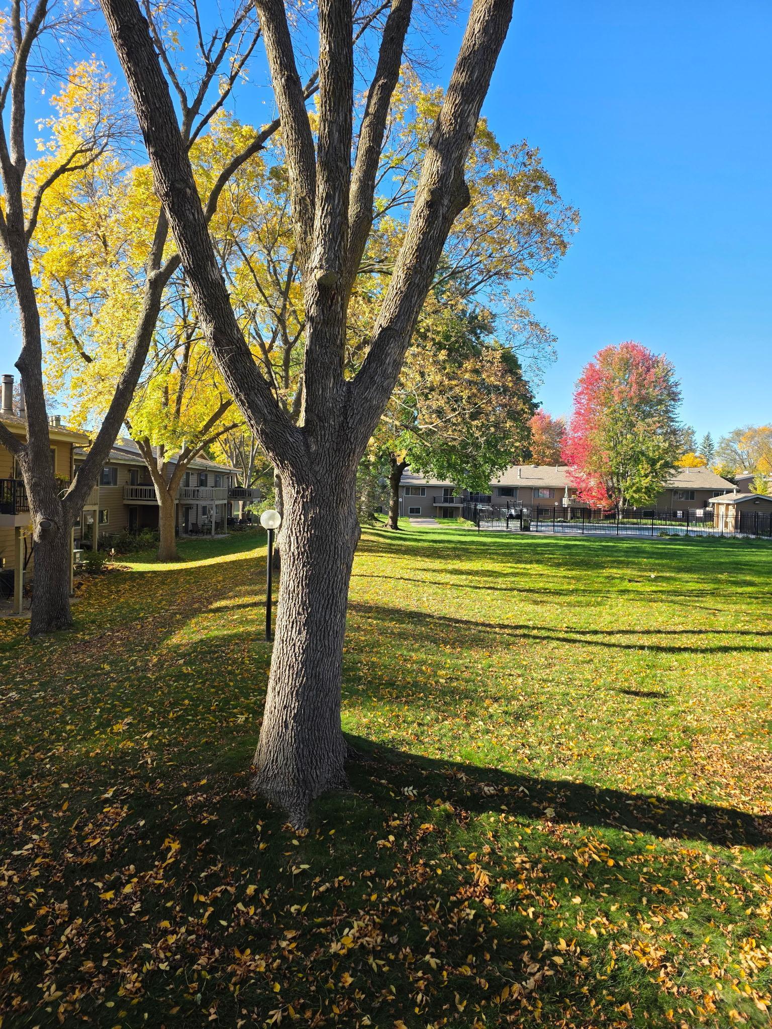 14244 Chestnut Drive