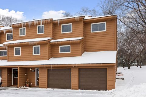 1603 Raindrop Drive Eagan MN 55121