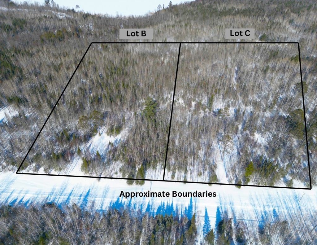 Photo of 72XXX E Central Lakes Road Lot C, Eveleth, MN 55734 (MLS # 7027903)
