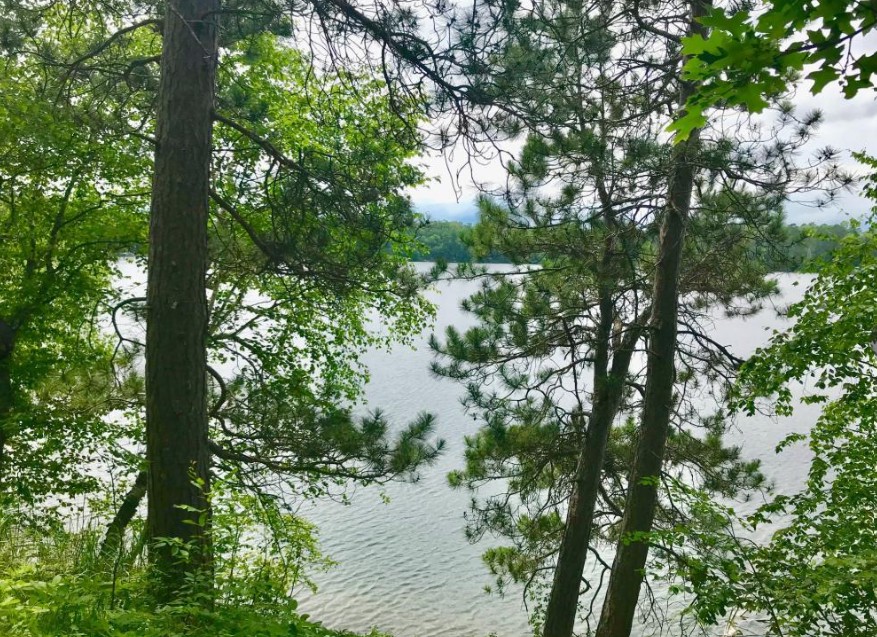 38284 Ox Lake Landing