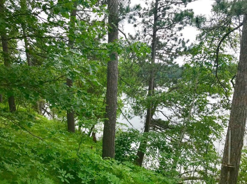 38284 Ox Lake Landing