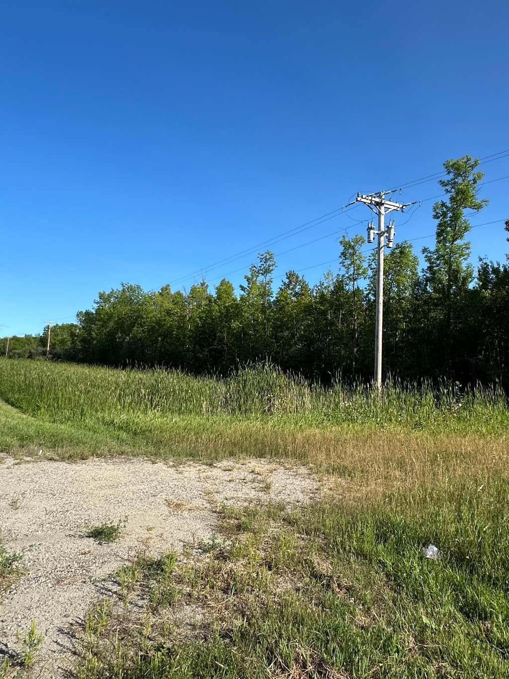 Photo of TBD ESH Acreage Highway 53, Ray, MN 56669 (MLS # 7134084)