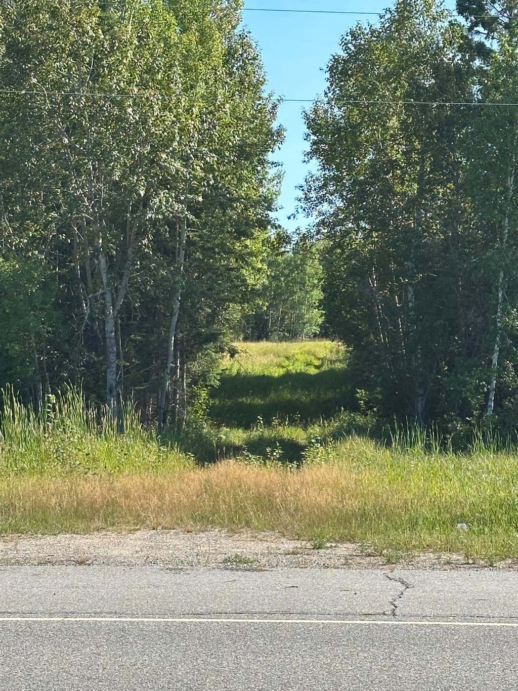 Photo of TBD ESH Acreage Highway 53, Ray, MN 56669 (MLS # 7134084)