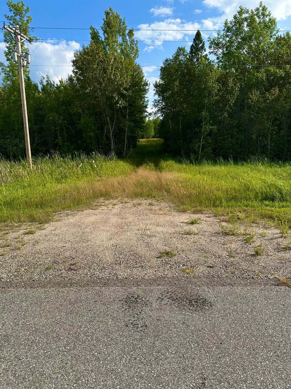 Photo of TBD ESH Acreage Highway 53, Ray, MN 56669 (MLS # 7134084)