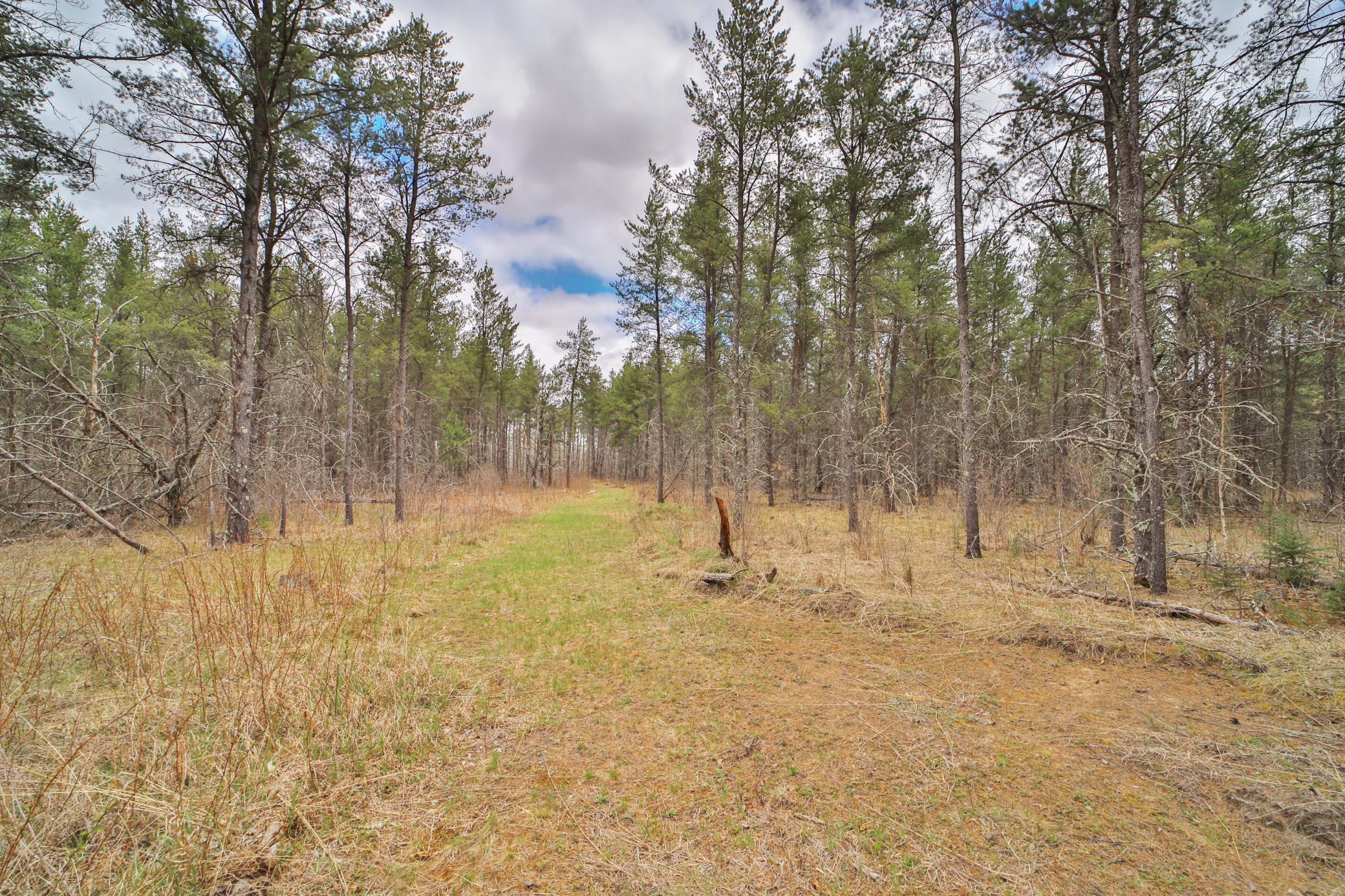 TBD 65th Avenue SW
