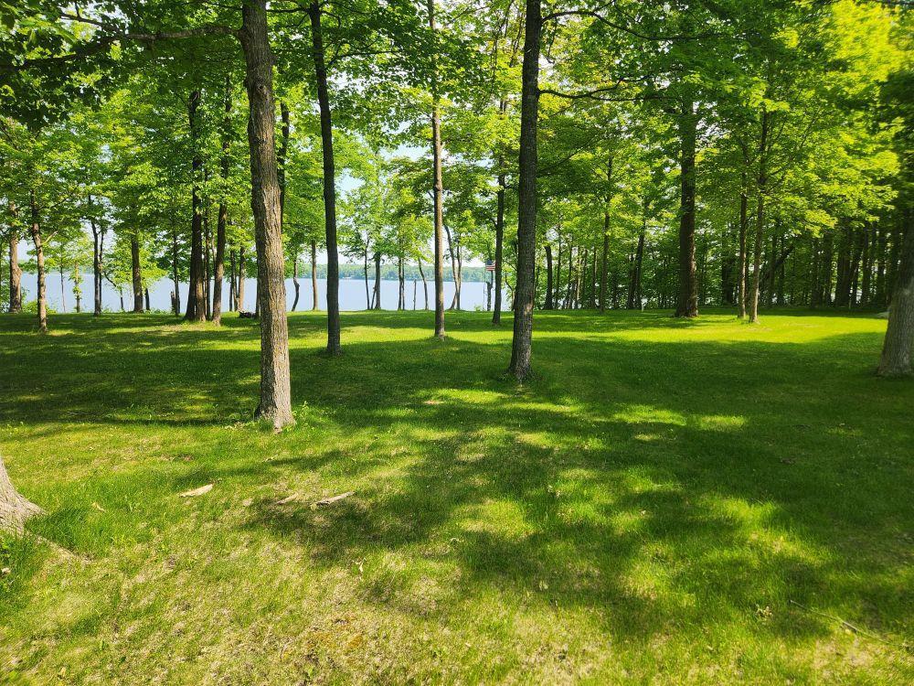 38019 Dead Lake Road