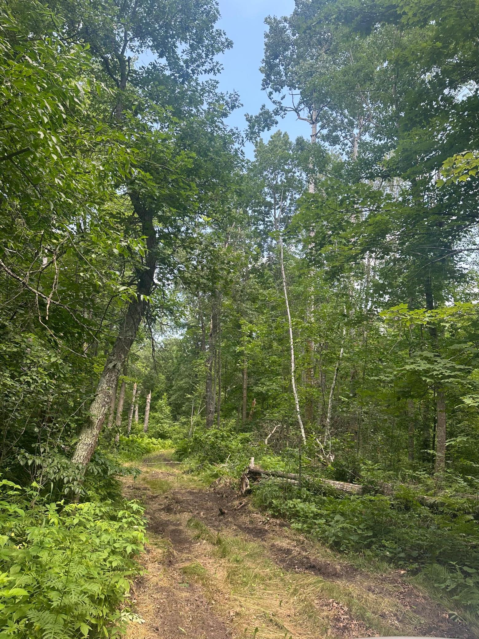 TBD Olander Road
