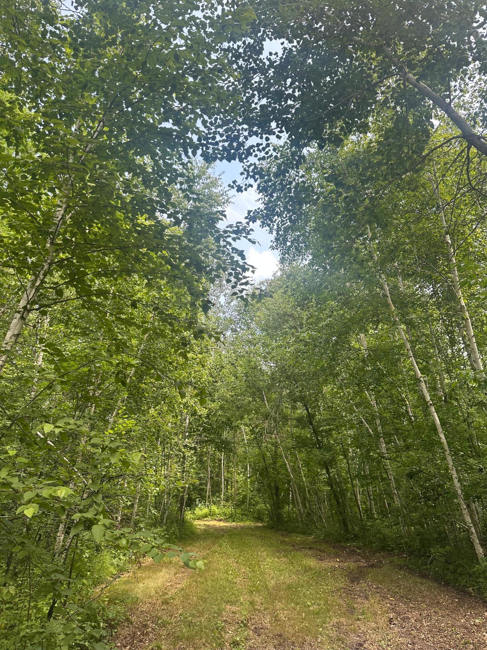 TBD Olander Road