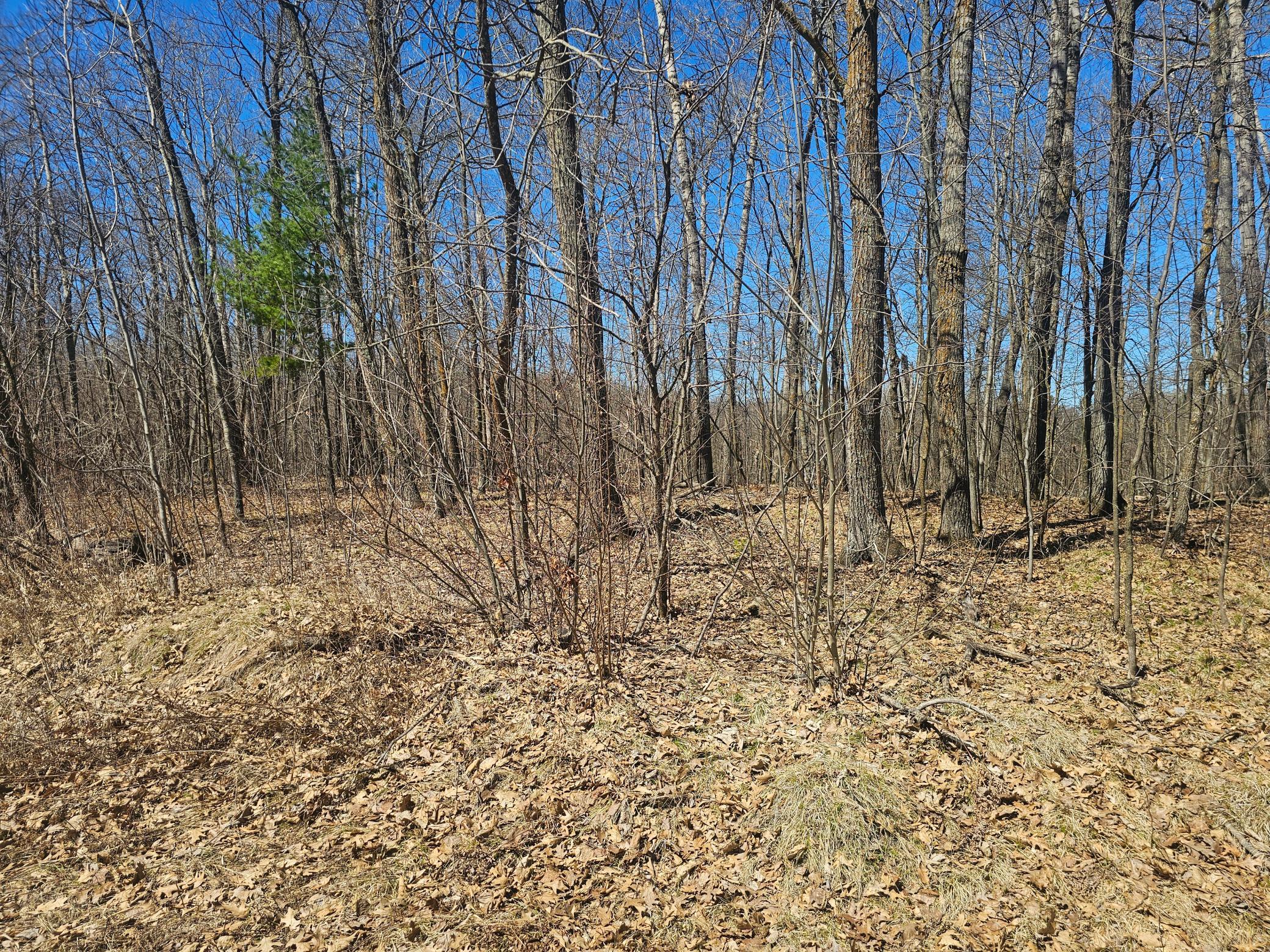 TBD Tract B Swanson Road