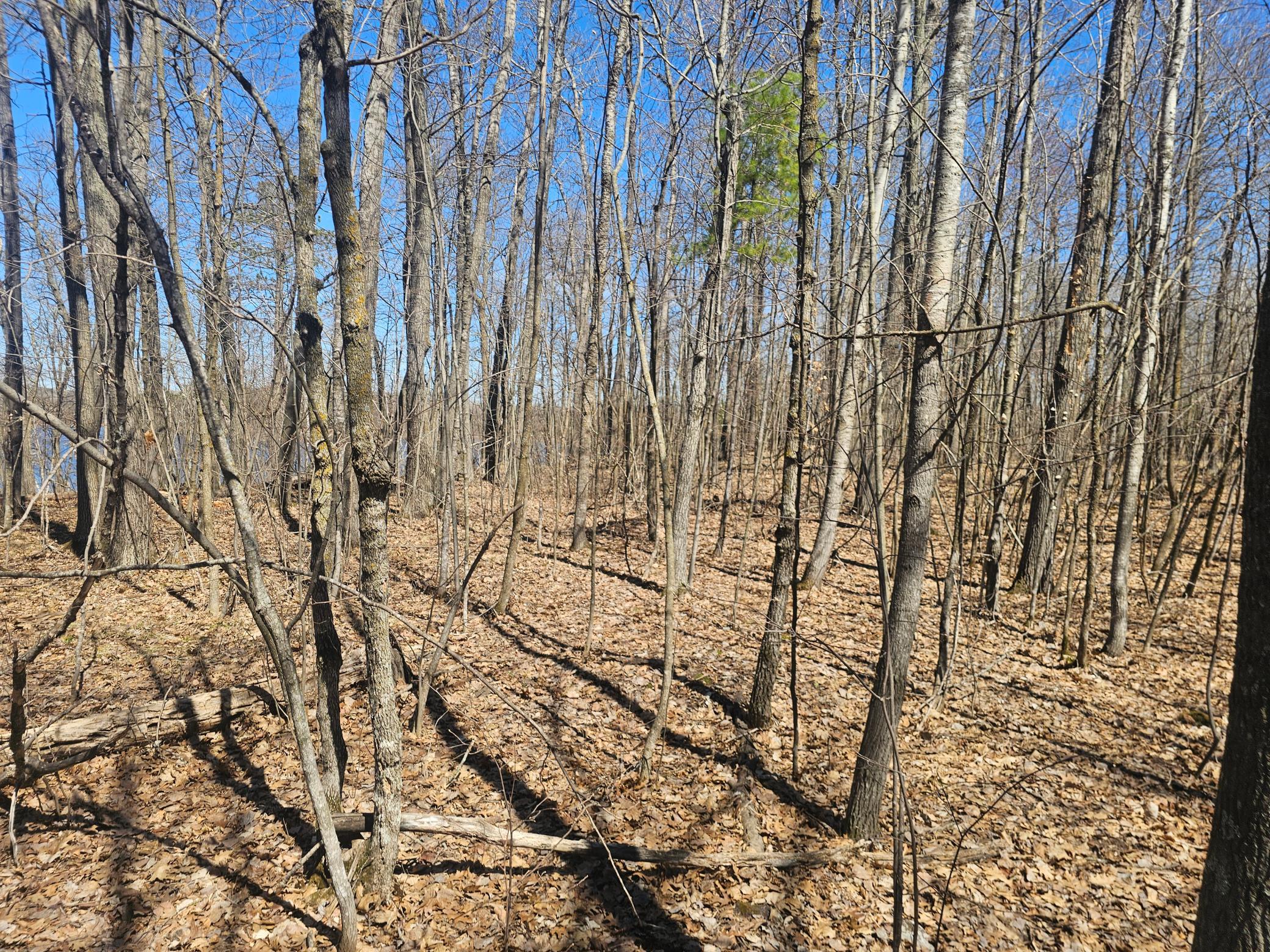 TBD Tract B Swanson Road