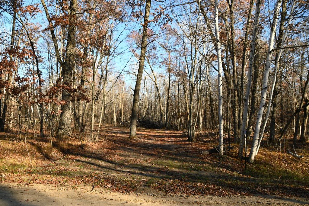 Photo of 27537 Ode Circle, Browerville, MN 56438 (MLS # 7034503)