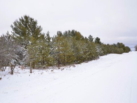 XXX 170th Street Park Rapids MN 56470