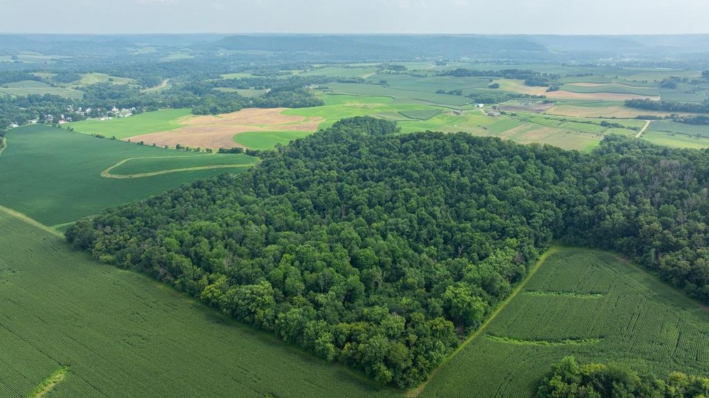 Photo of 0 County Road J, Mondovi, WI 54755 (MLS # 7109489)