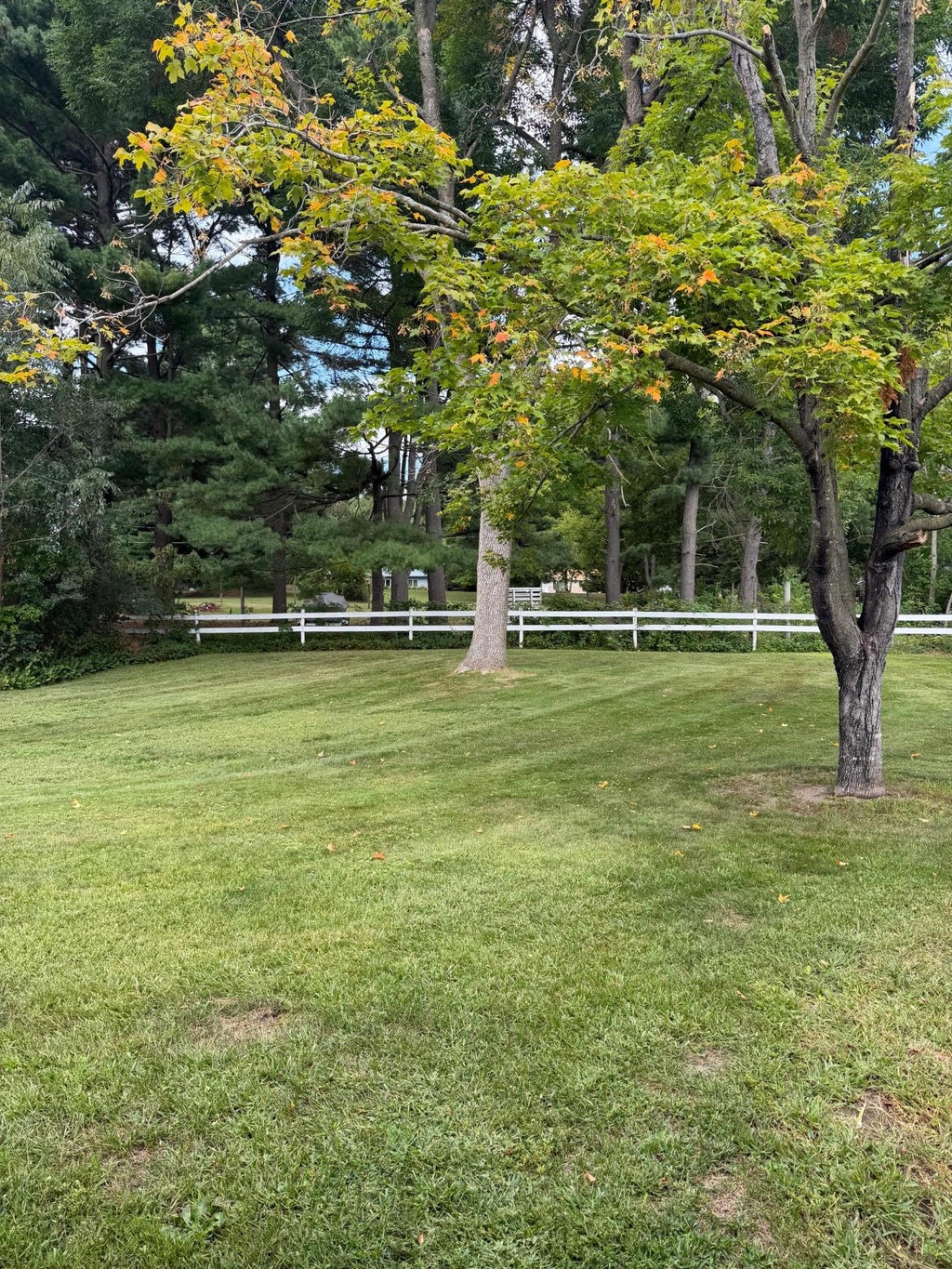 Photo of 130 Arlington Drive, Amery, WI 54001 (MLS # 7139922)