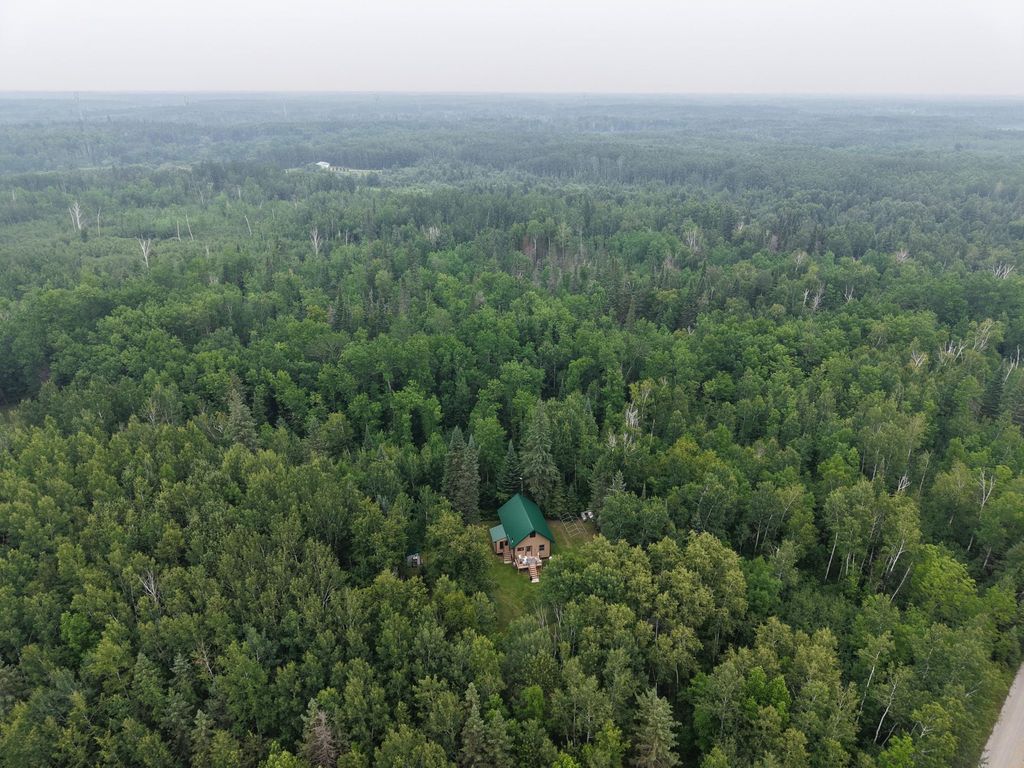 Photo of TBD Tangnes Forest Road, Roosevelt, MN 56673 (MLS # 7052608)