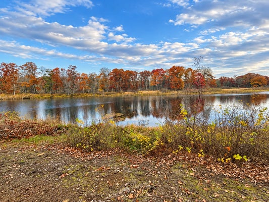 12444 FAWN LAKE RD, CROSSLAKE, MN 56442 - Image 7a16b4e3aff193c3eae45571e6720ce3/3185158490